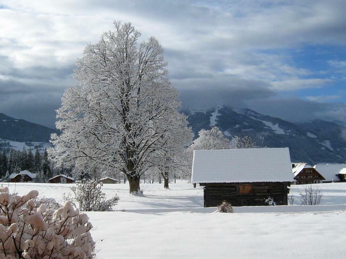 Appartamento Blockhaus Royer Ramsau am Dachstein Esterno foto